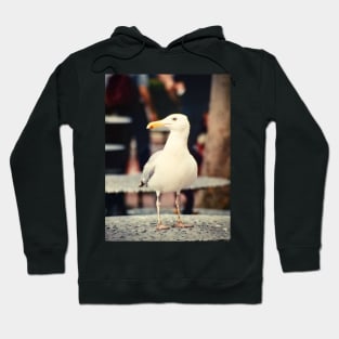 Seagull in New York Hoodie